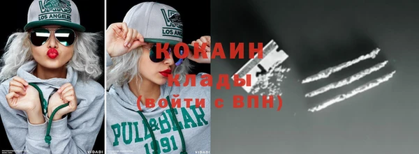 дмт Елизово