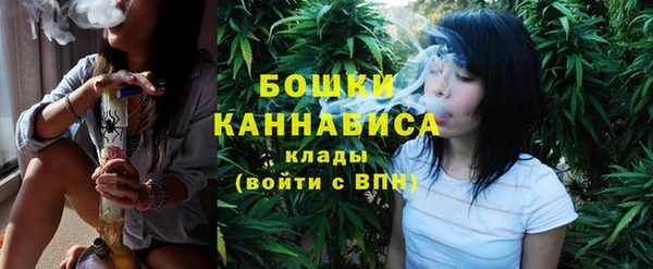 дмт Елизово