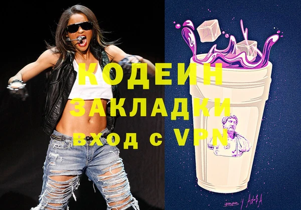 дмт Елизово