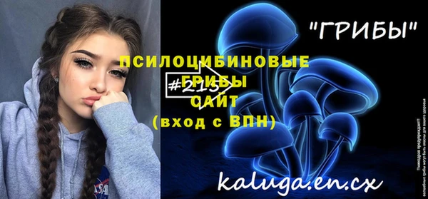 mdpv Елабуга