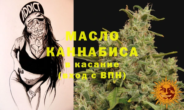 дмт Елизово
