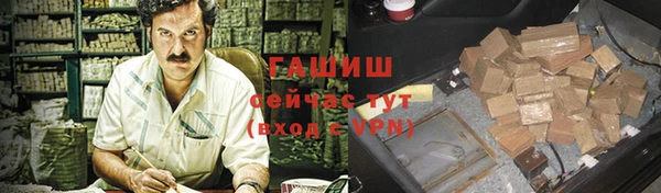 дмт Елизово