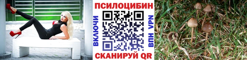 Псилоцибиновые грибы мухоморы Купить где Ноябрьск
