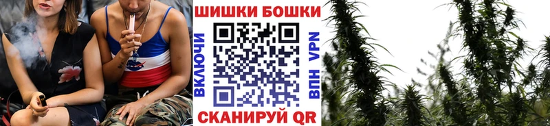 Шишки марихуана план  Купить  Ноябрьск 